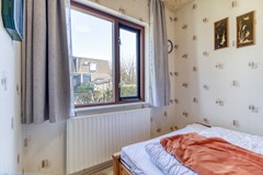 Lamsoor 3b Nieuwvliet-10.jpg